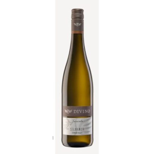 2020 DIVINO Franken Silvaner Trocken